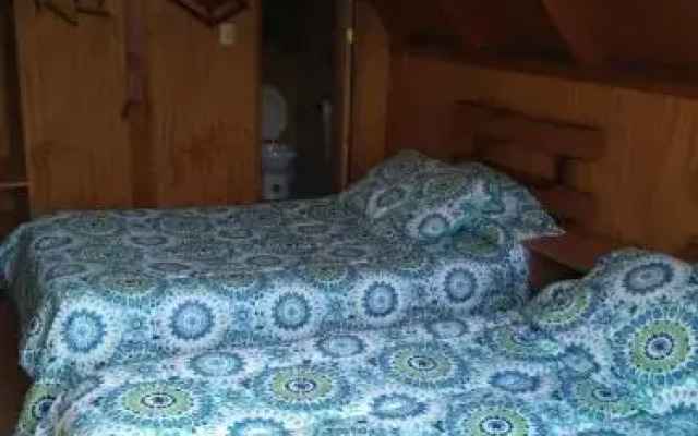 Hostal Cactus