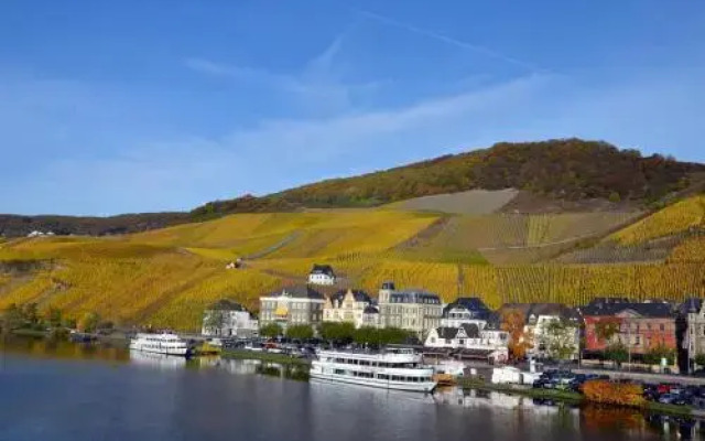 Moselle Rose