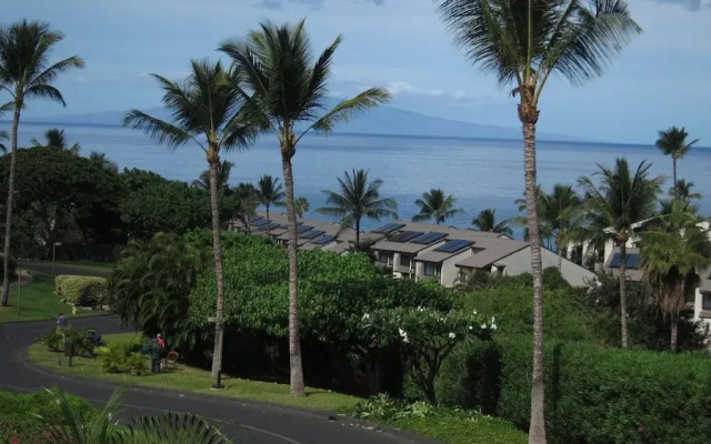 Maui Kamaole #J-221