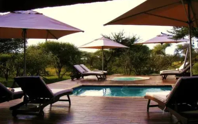 Buffalo Thorn Lodge
