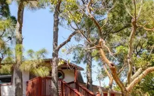Home by Beach 5 - The Treehouse