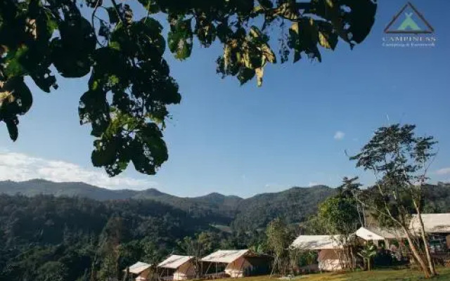 Campiness Camping & Farmsook