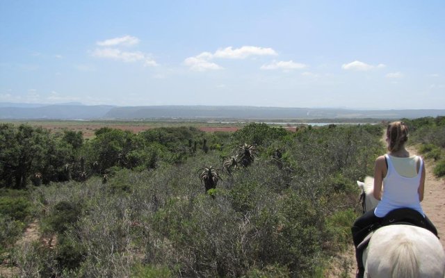 All Africa J Bay Lodge