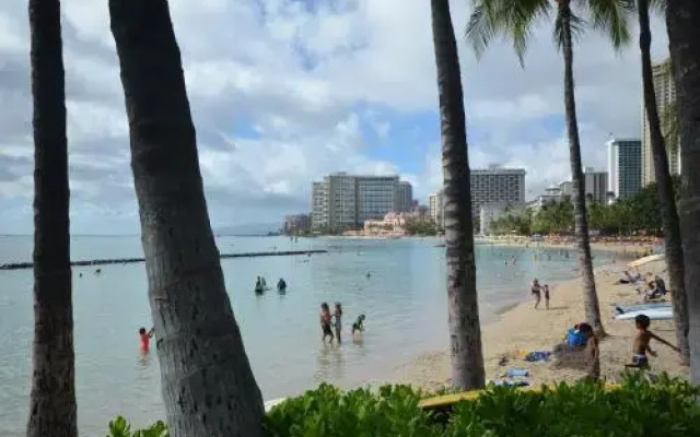 Kuhio Village #601A by RedAwning