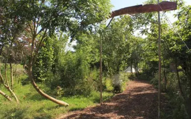 Plush Tents Glamping