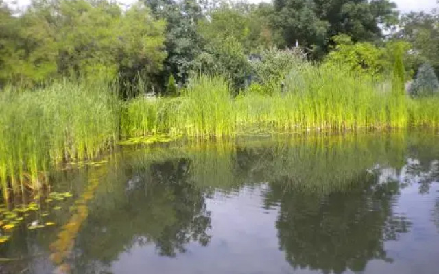 Re-Creativity Guest House