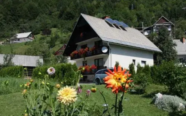 Apartments & Rooms Stanko Stare