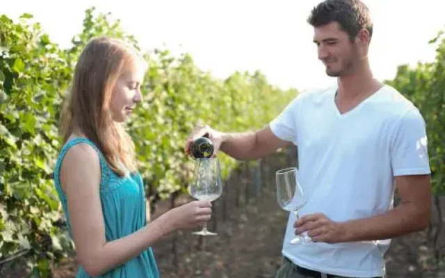 Weinhof & Gästehaus Dombi Weiss