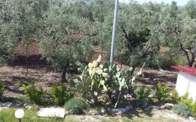Agriturismo Azzarone