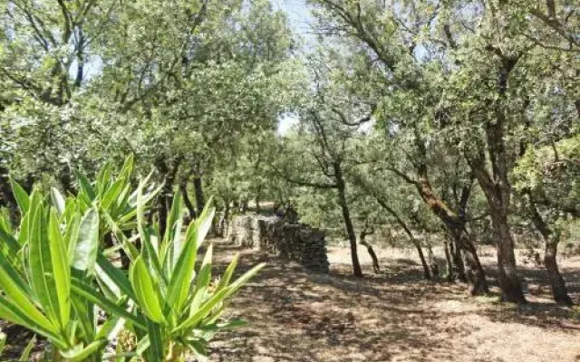 La Chênaie De Gordes