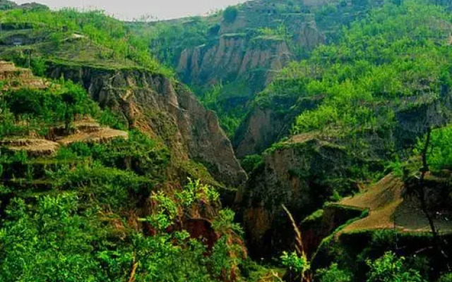 Qikou Li Jianxin Farmstay