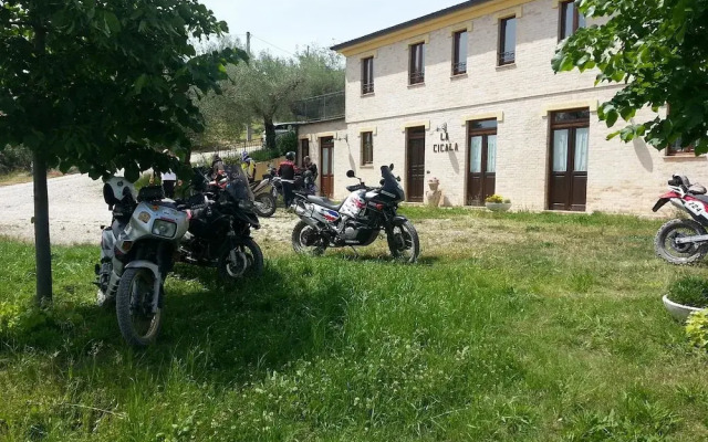 La Cicala