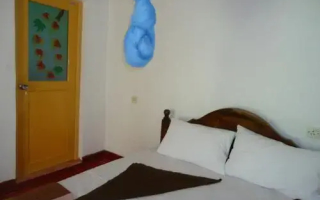 Sigiri Picaso Home Stay