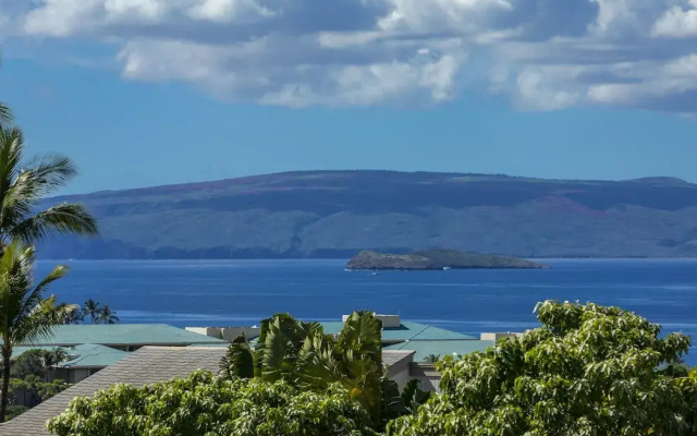 Wailea Ekolu #503