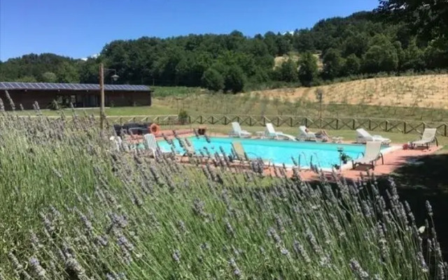 Agriturismo Risalpiano