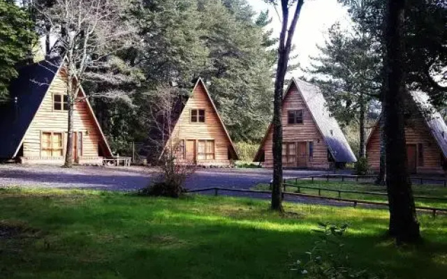 CABAñAS LAUTARO PUCON