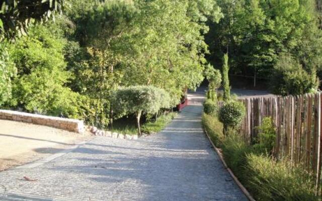 Côte dAzur Sous les Pins