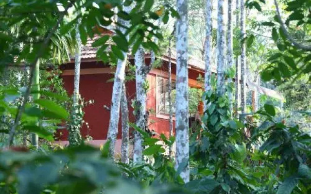 Wayanad Green Park