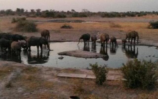 Thobolo's Bush Lodge