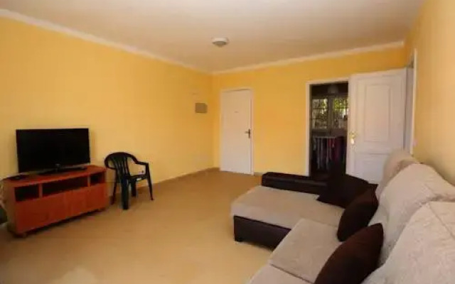 Buganvillas