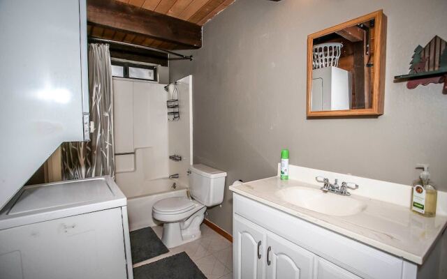 1628 - Coyote Den by RedAwning