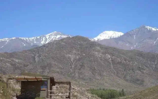 Las Margaritas