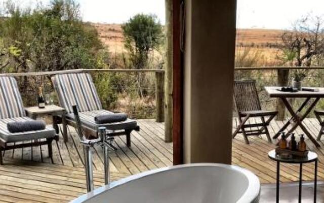 Nambiti Plains Private Game Lodge