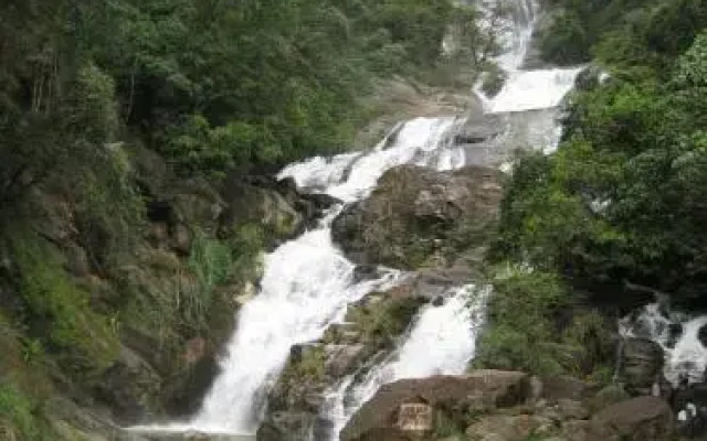Yoho Little Paradise Homestay