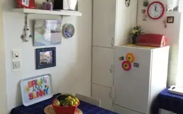Apartment Rokova