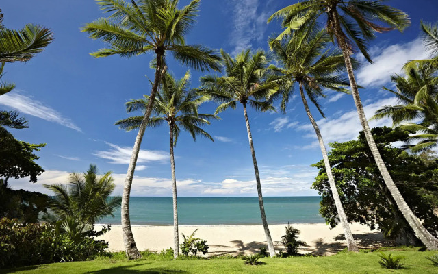 Haven of Tranquility