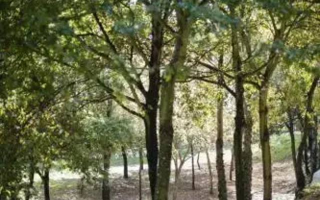 Quinta de Freixieiro