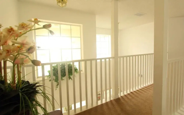 Florida Dream Homes Kissimmee Collection