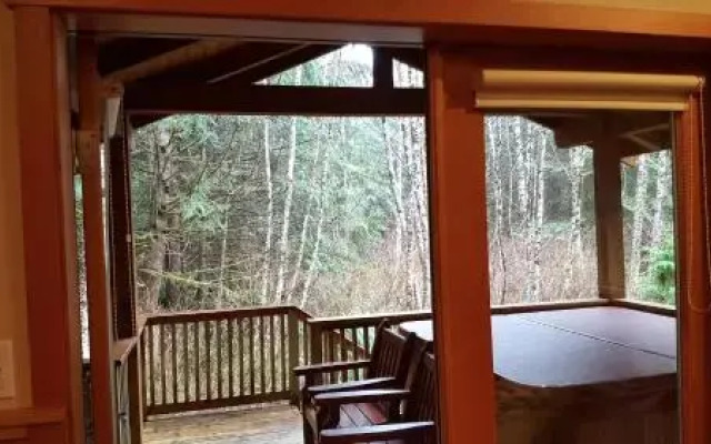 Evergreen Forest Cabins