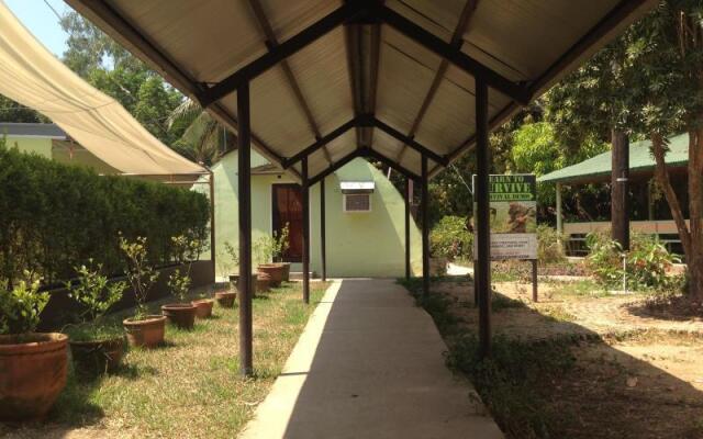 Jungle Environment Survival Training Jest Camp Dormitory