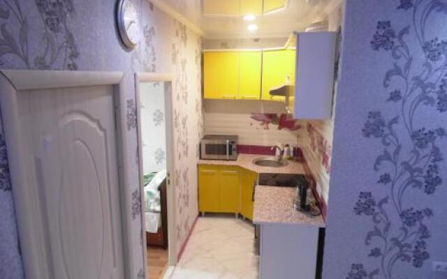 Apartment on Gorkovo 87