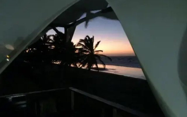 Aloha