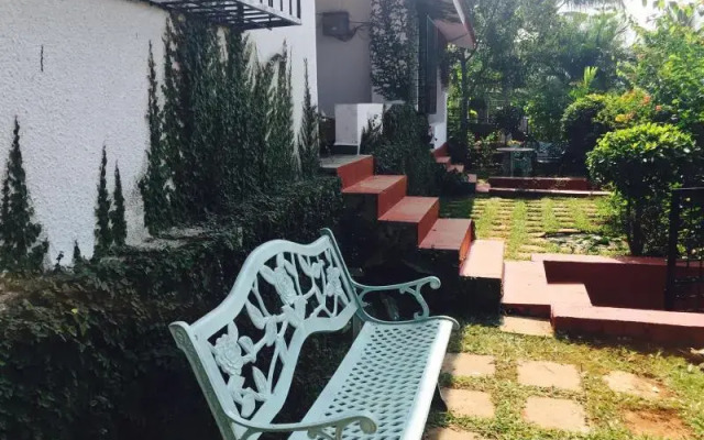 misty homestay