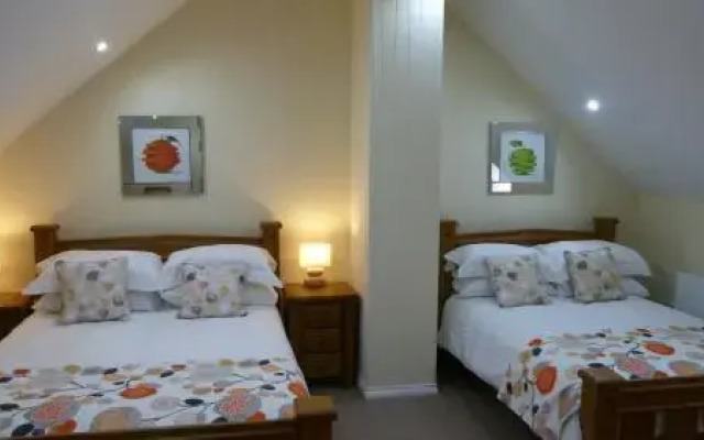 Onnen Fawr Cottage