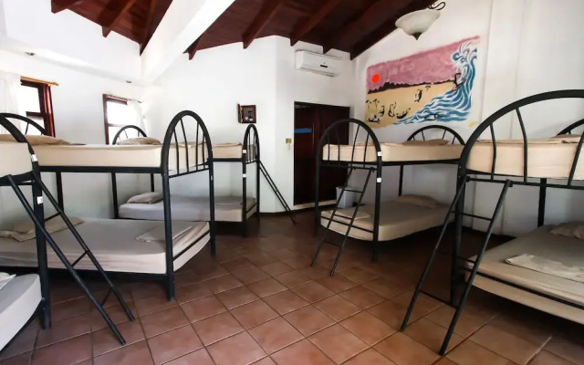 Hostel Tamarindo Backpackers