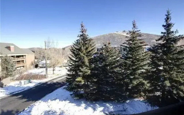 Powder Pointe by Alpine Ski Properties