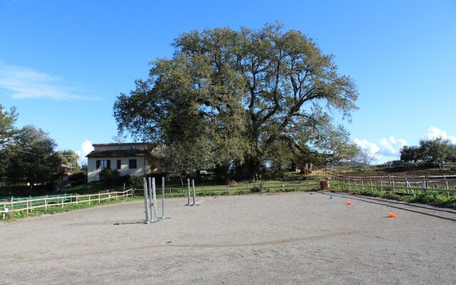 Agriturismo Il Capannone