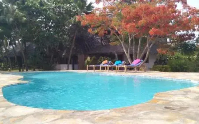 The Coco Paradise