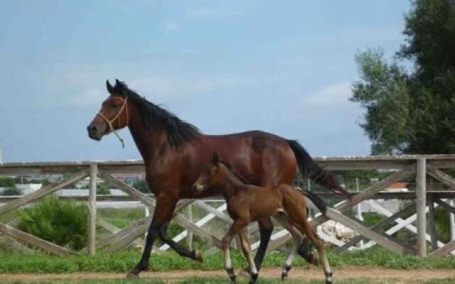 Agriturismo Il Ranch
