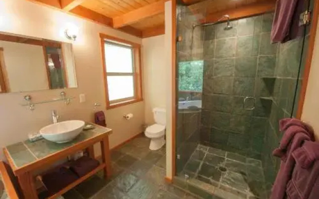 Evergreen Forest Cabins