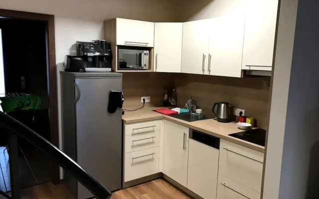 Apartmán Říčky