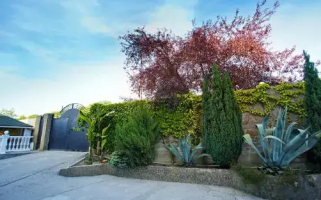Svoya Guesthouse