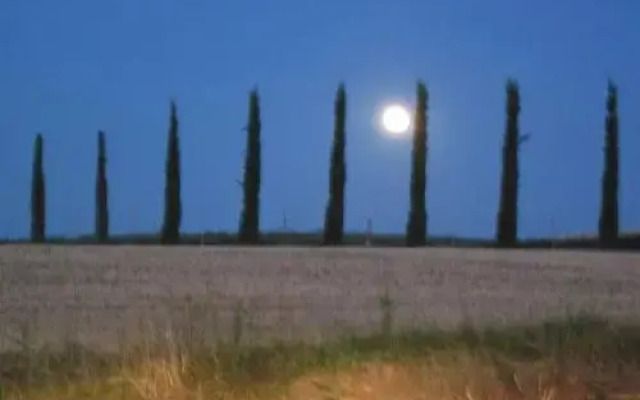 Agriturismo Torrenieri