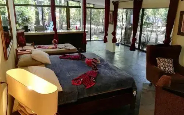 Charlie's Jungle House