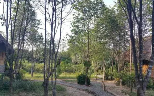 Sun Bear Bungalows