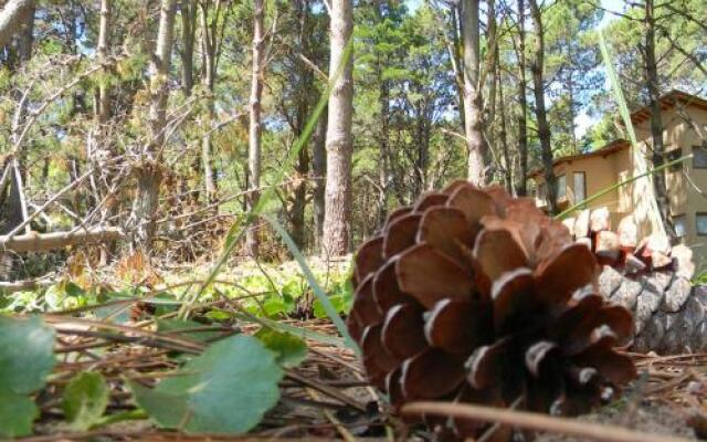 Lodge Descansos del Este